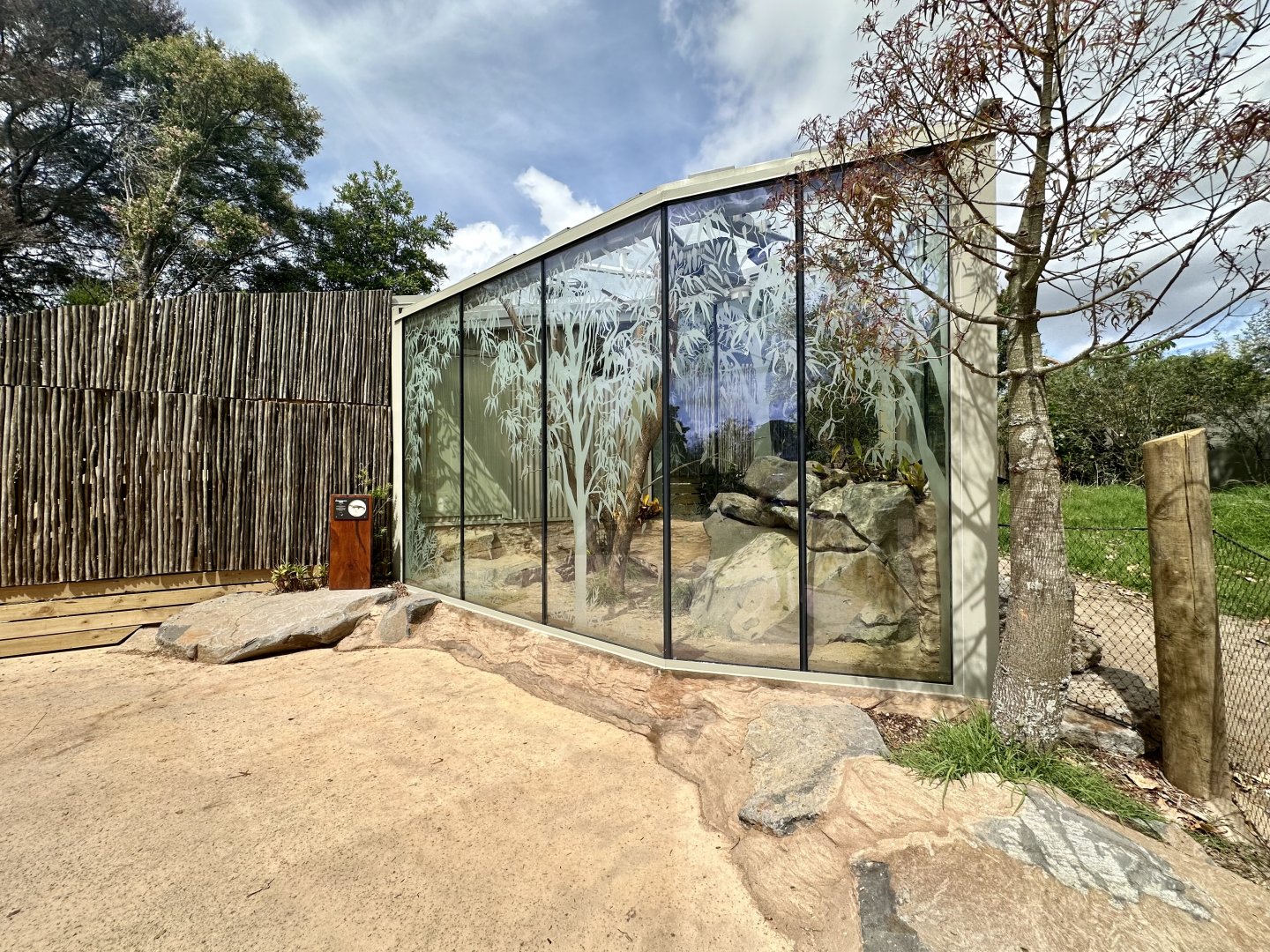 Frilled-neck Lizard/Cunningham’s Skink Exhibit