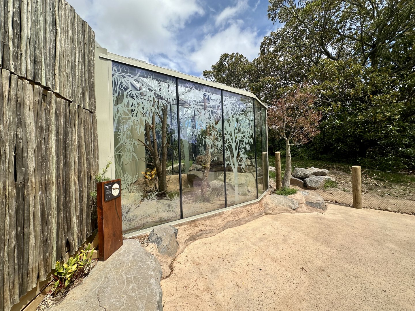 Frilled-neck Lizard/Cunningham’s Skink Exhibit
