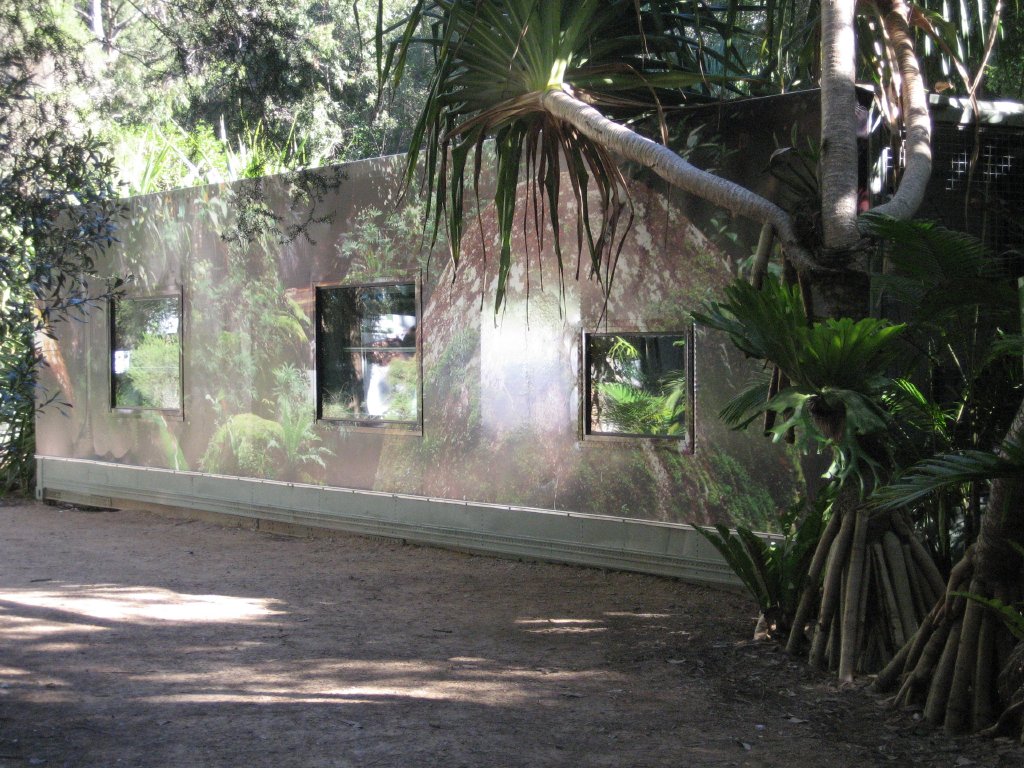 Frog Breeding Container