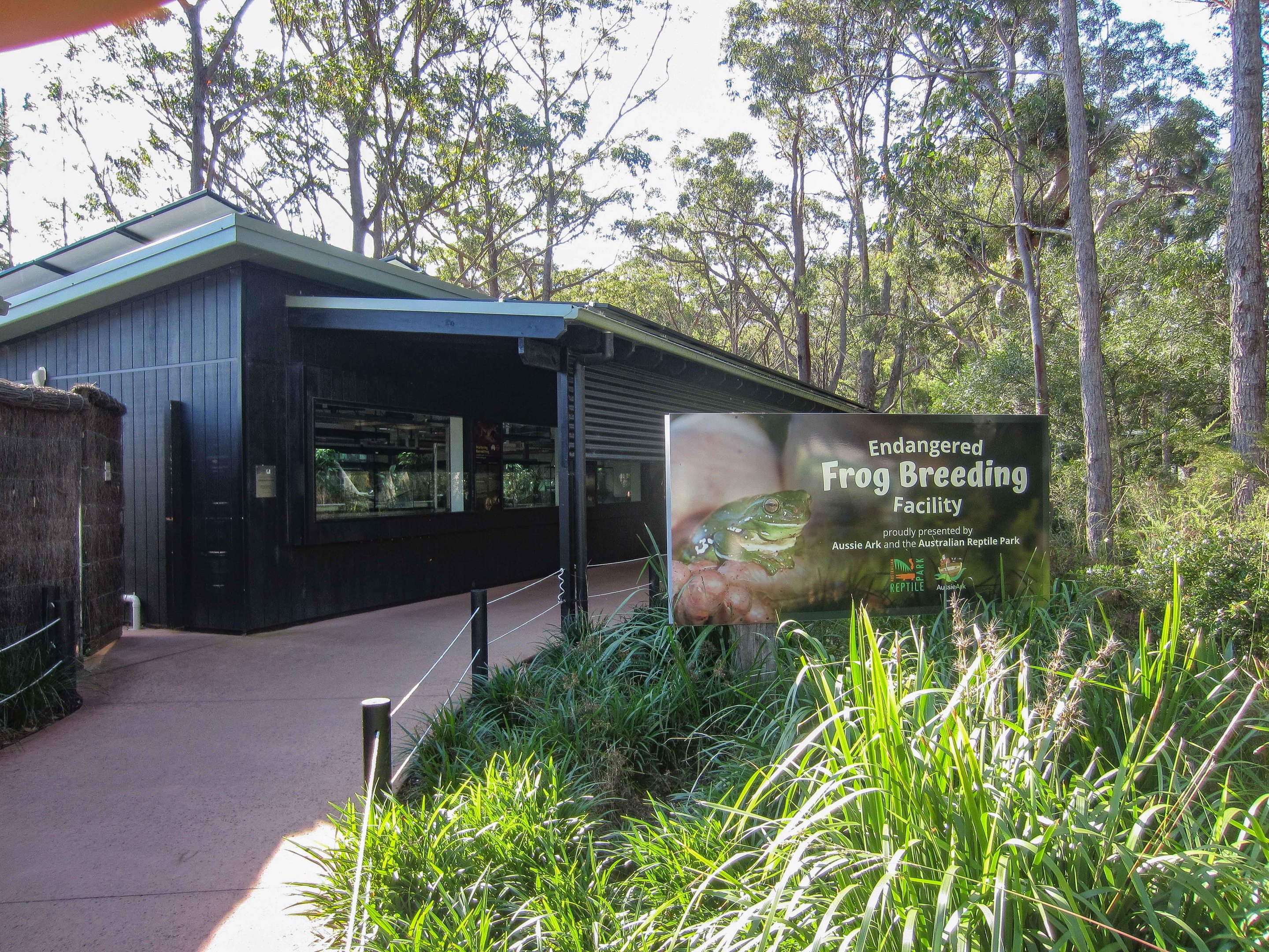 Frog Breeding Facility