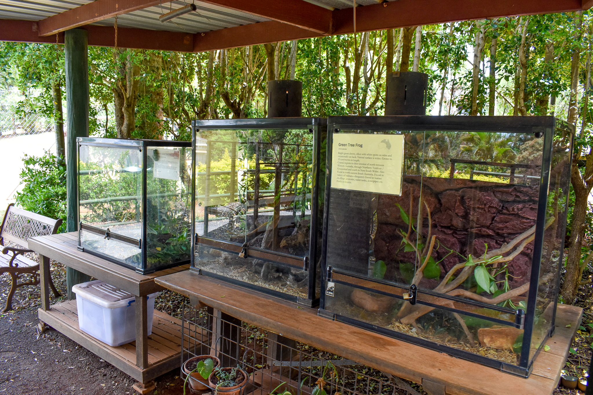 Frog/Broad-headed Snake Enclosures