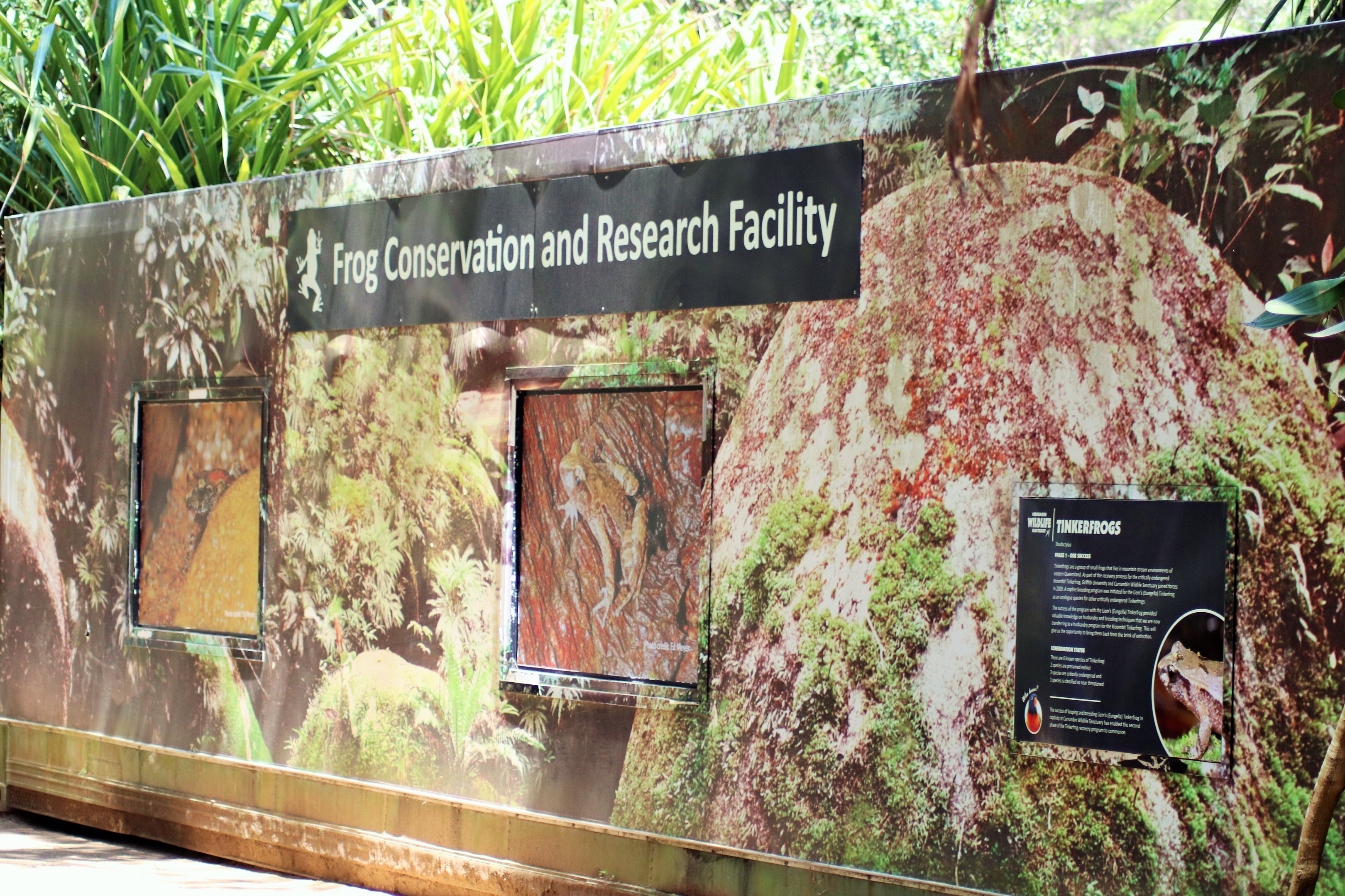 Frog Conservation and Research Facility