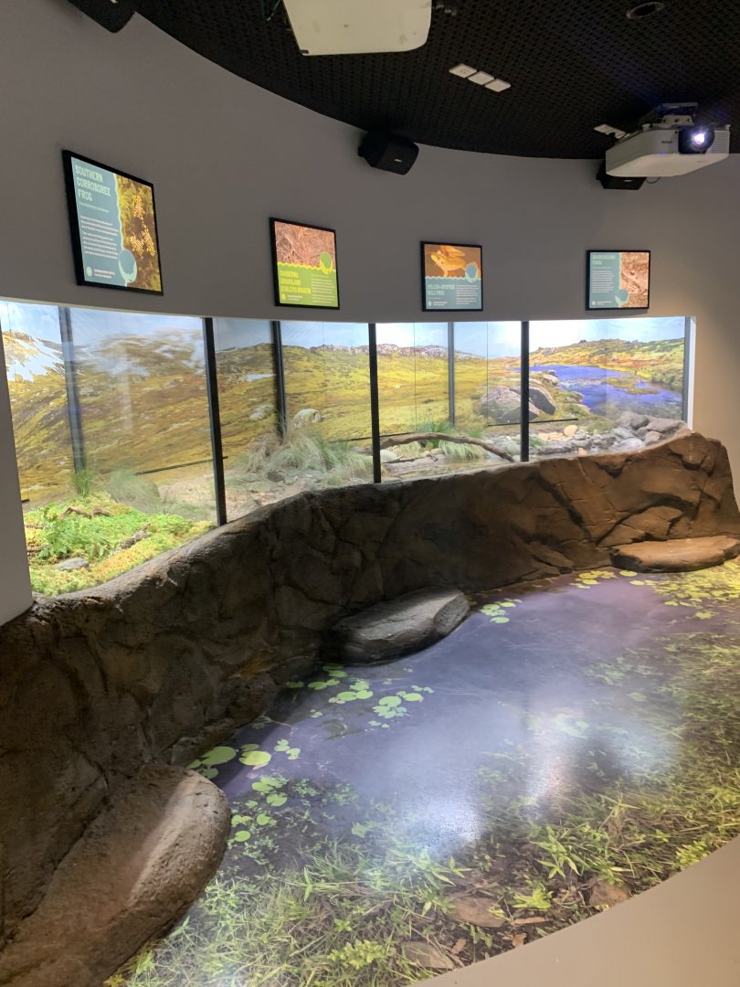 Frog conservation area  in new arc building