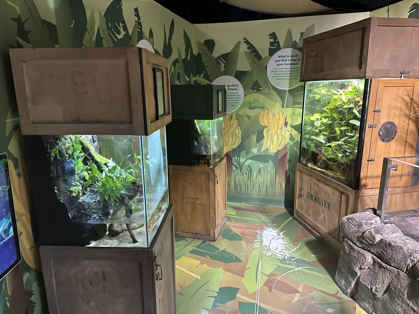Frog Exhibits