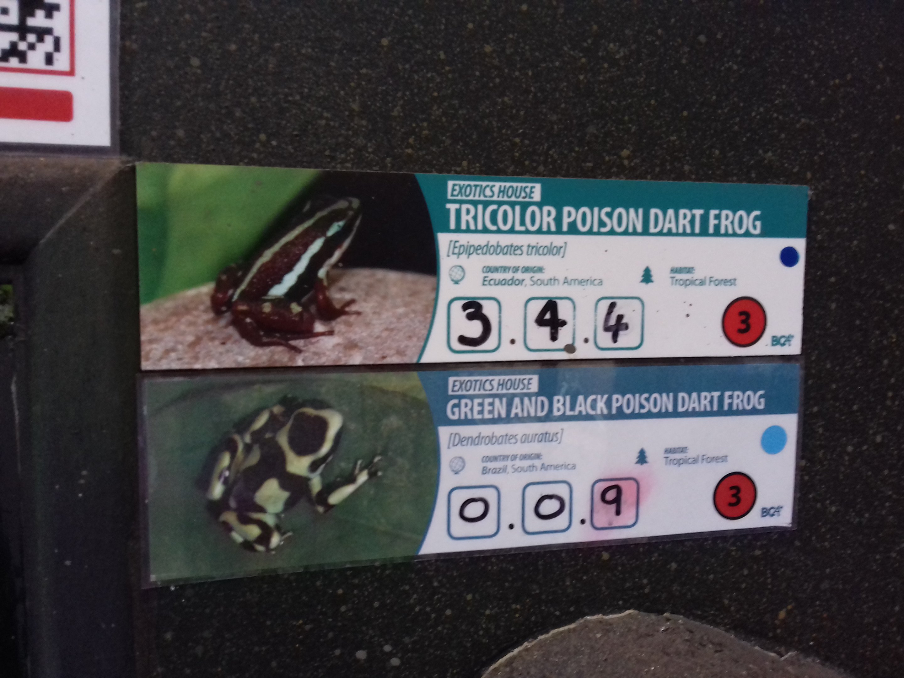 Frog labels