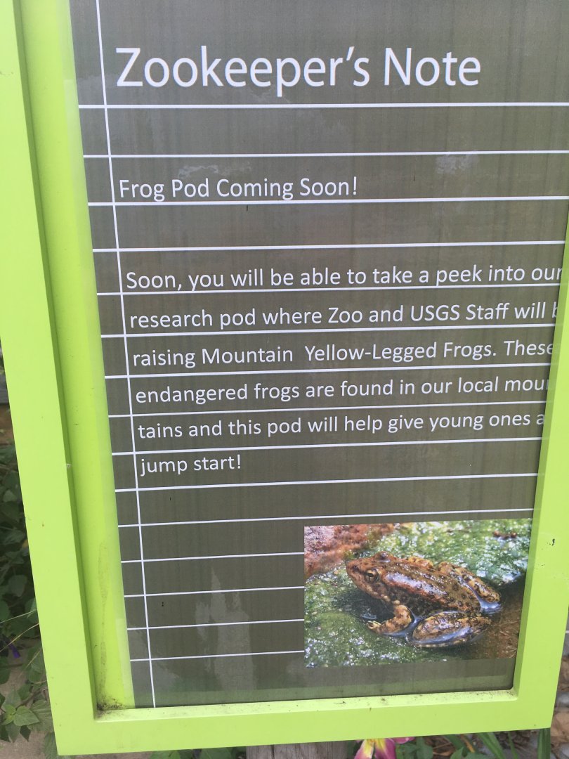 Frog Pod Info