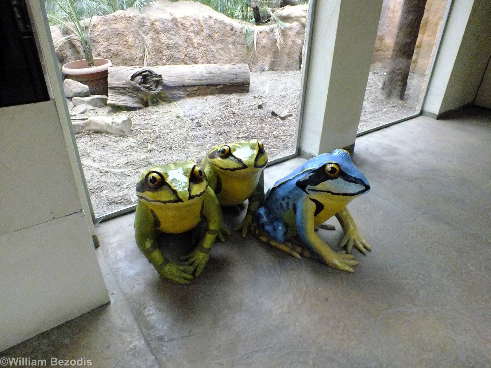 Frog Statues in the Cold Blooded Animals Pavilion