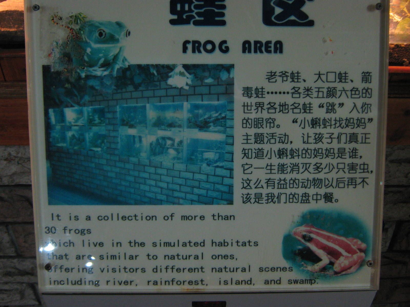 frog tanks signage