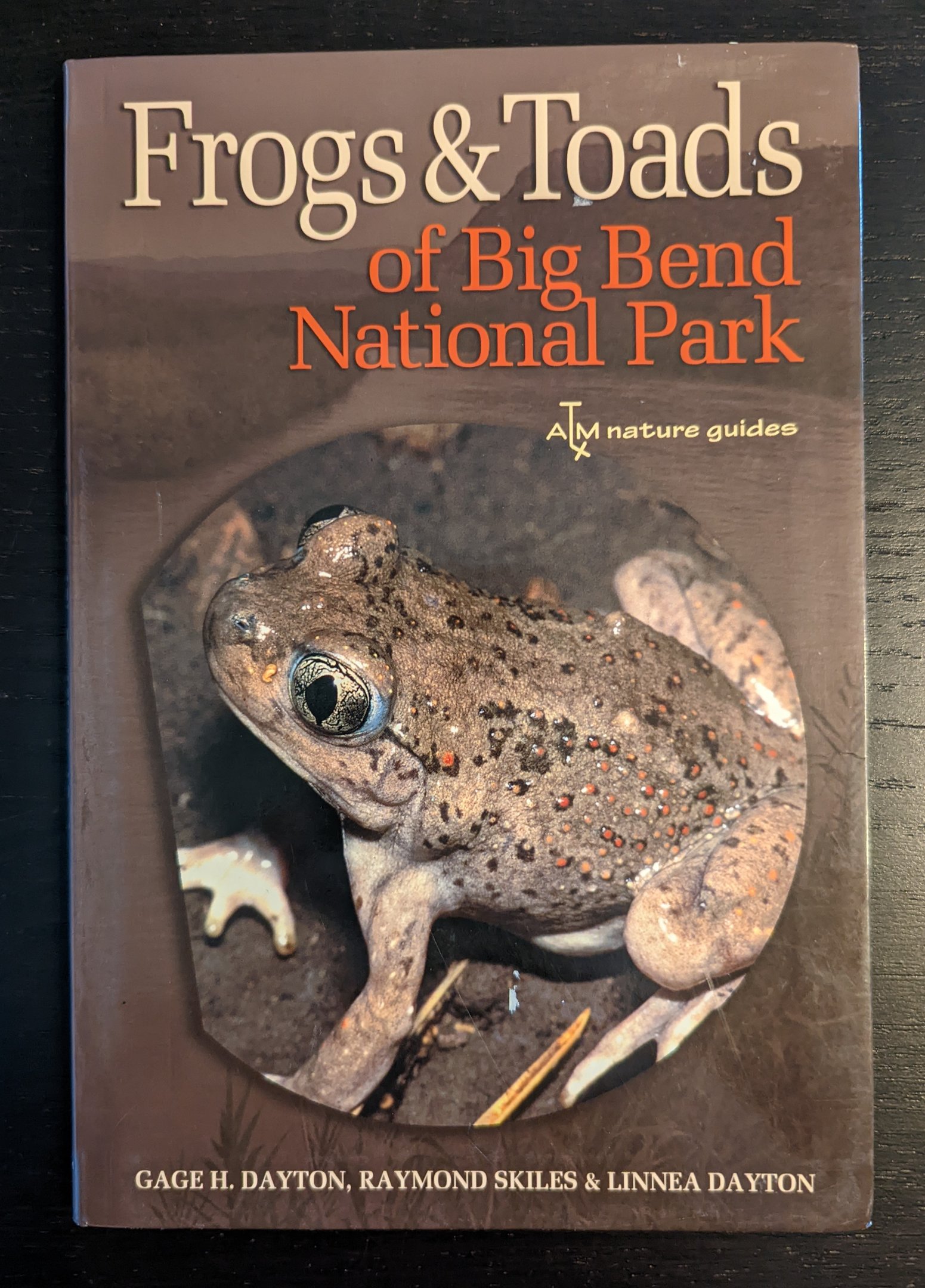 Frog & Toads of Big Bend National Park
