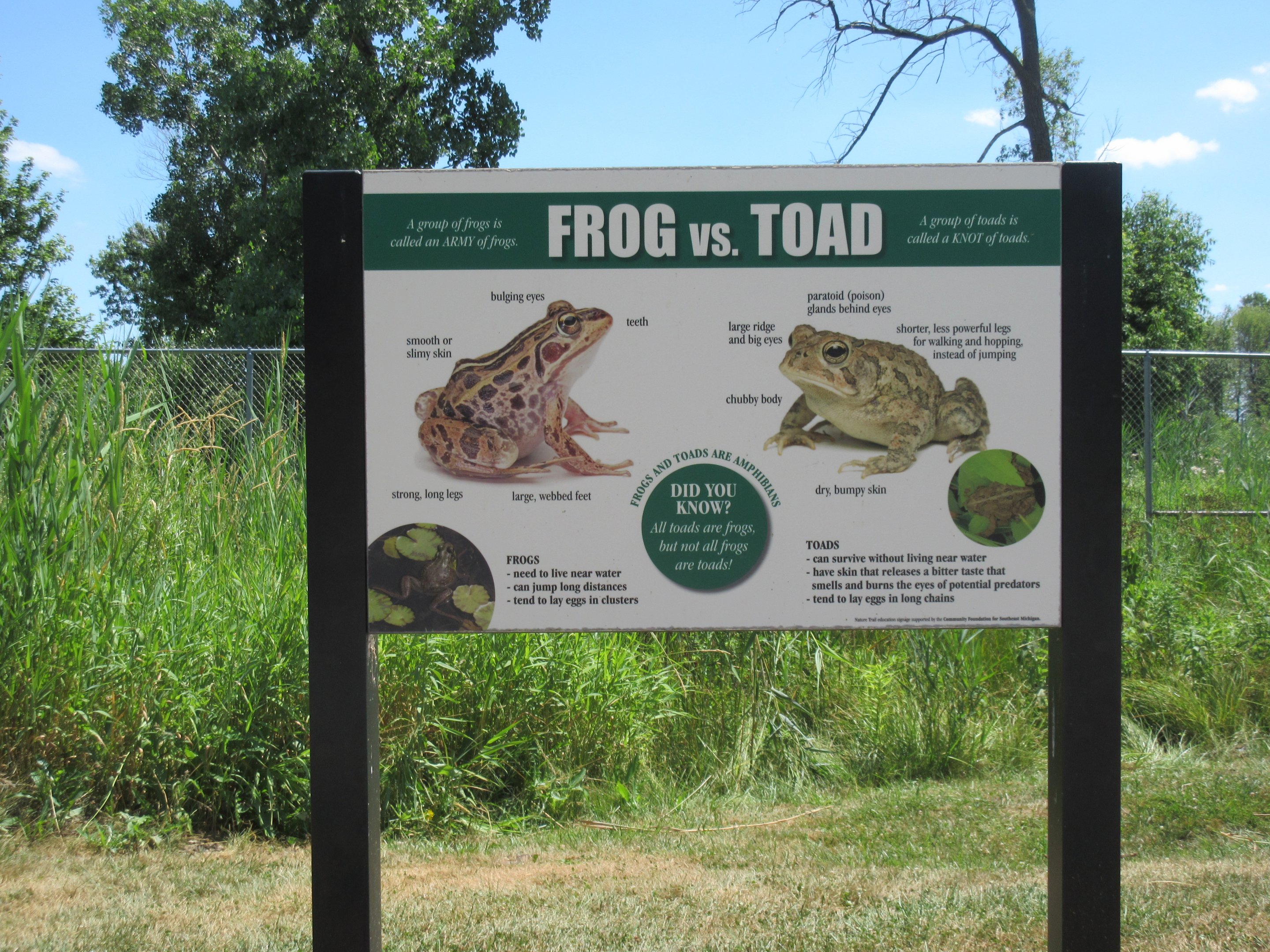 Frog vs. Toad Sign