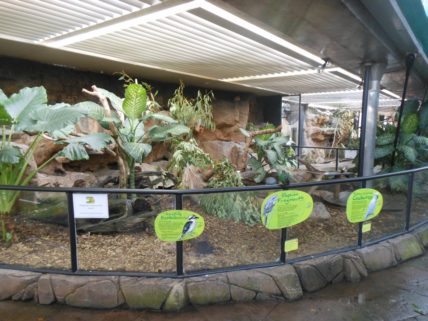 Frogmouth, Kookaburra & Cokatoo exhibit