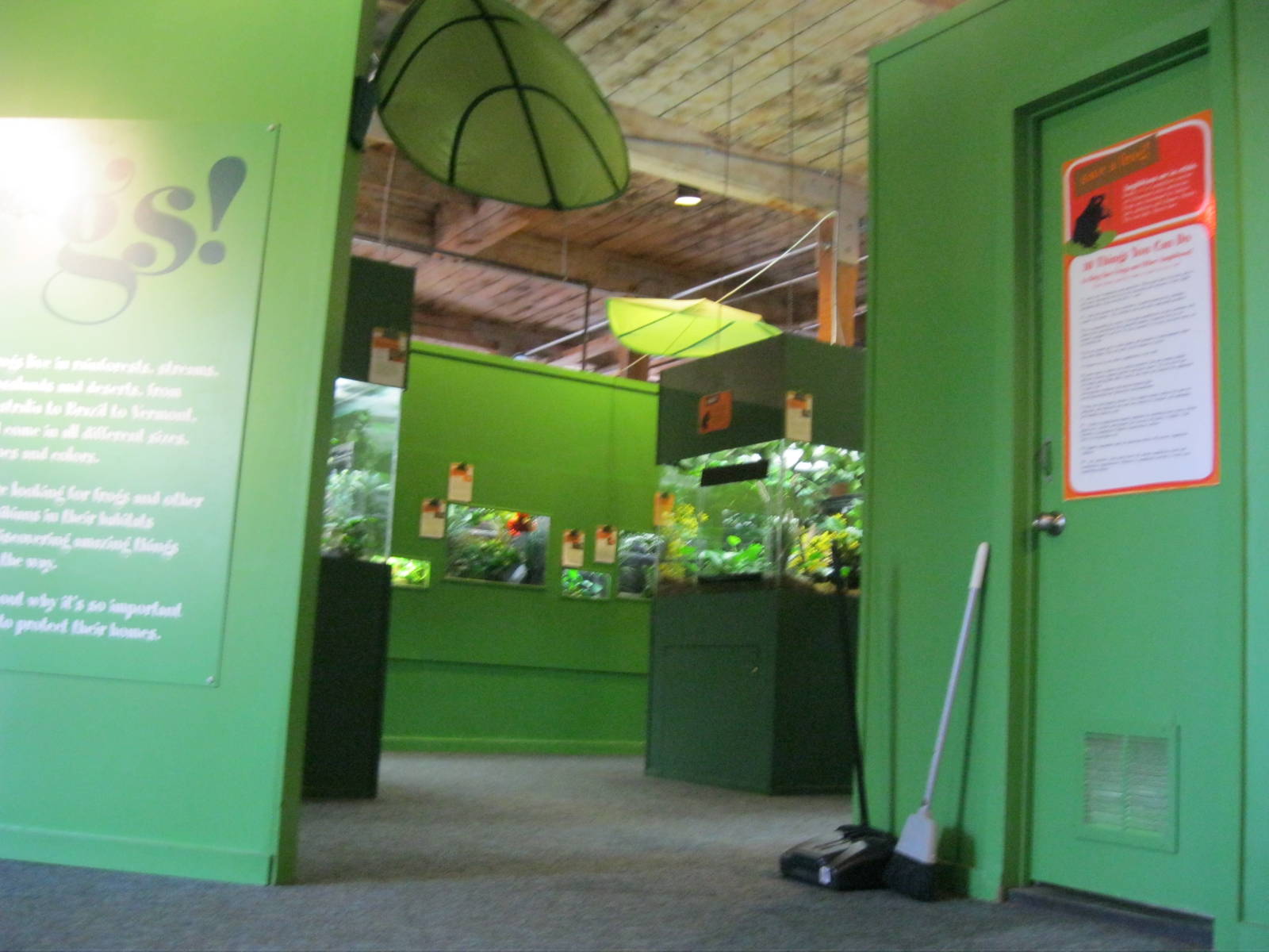 Frogs!- Entrance/Exit