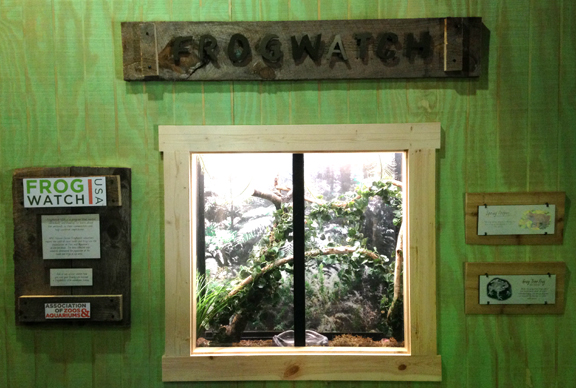 Frogwatch USA Exhibit of local Appalachian species