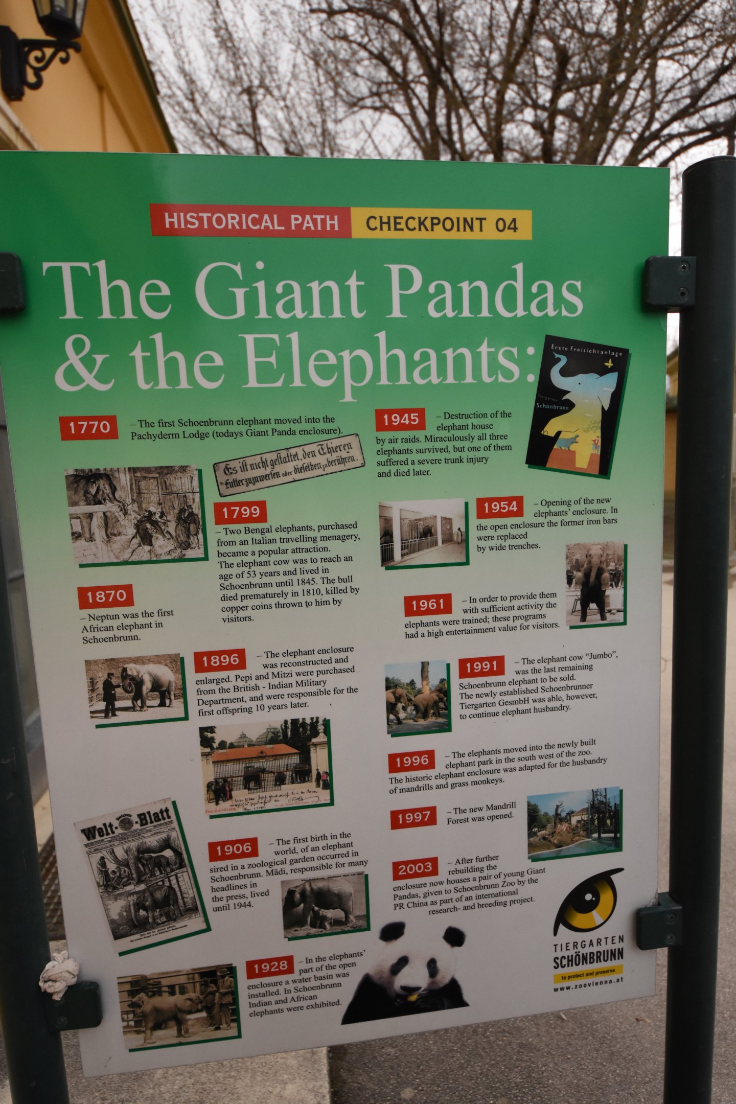 From Elephants to Giant panda