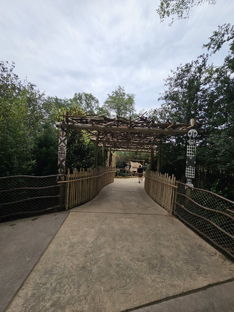 From one continent to another