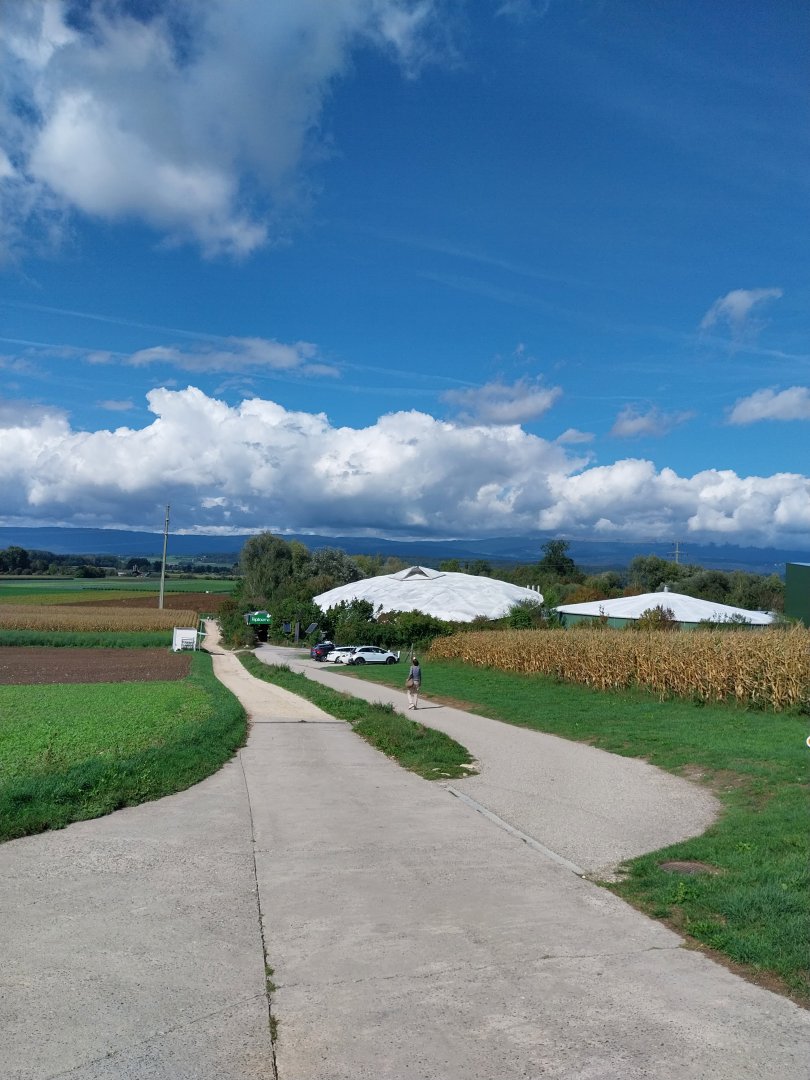 From parking lot to entrance