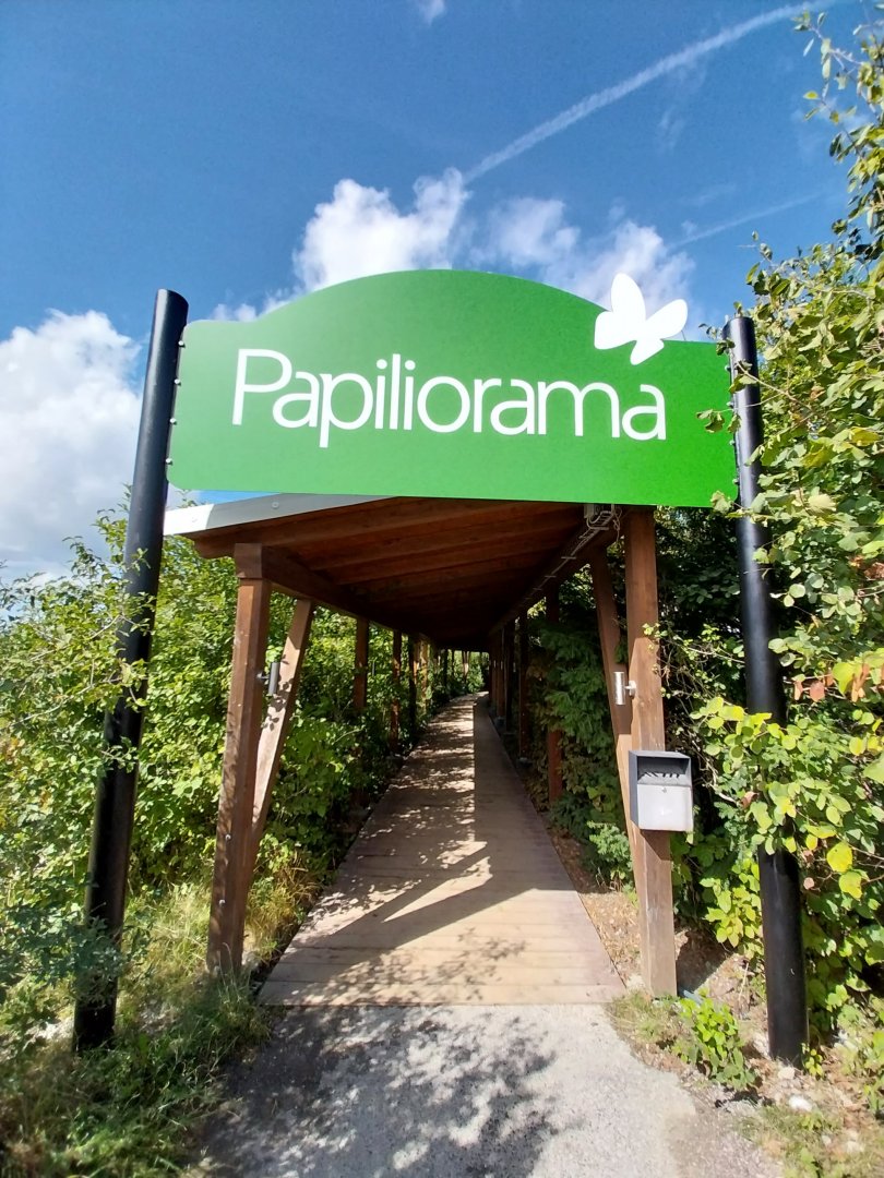 From parking lot to entrance