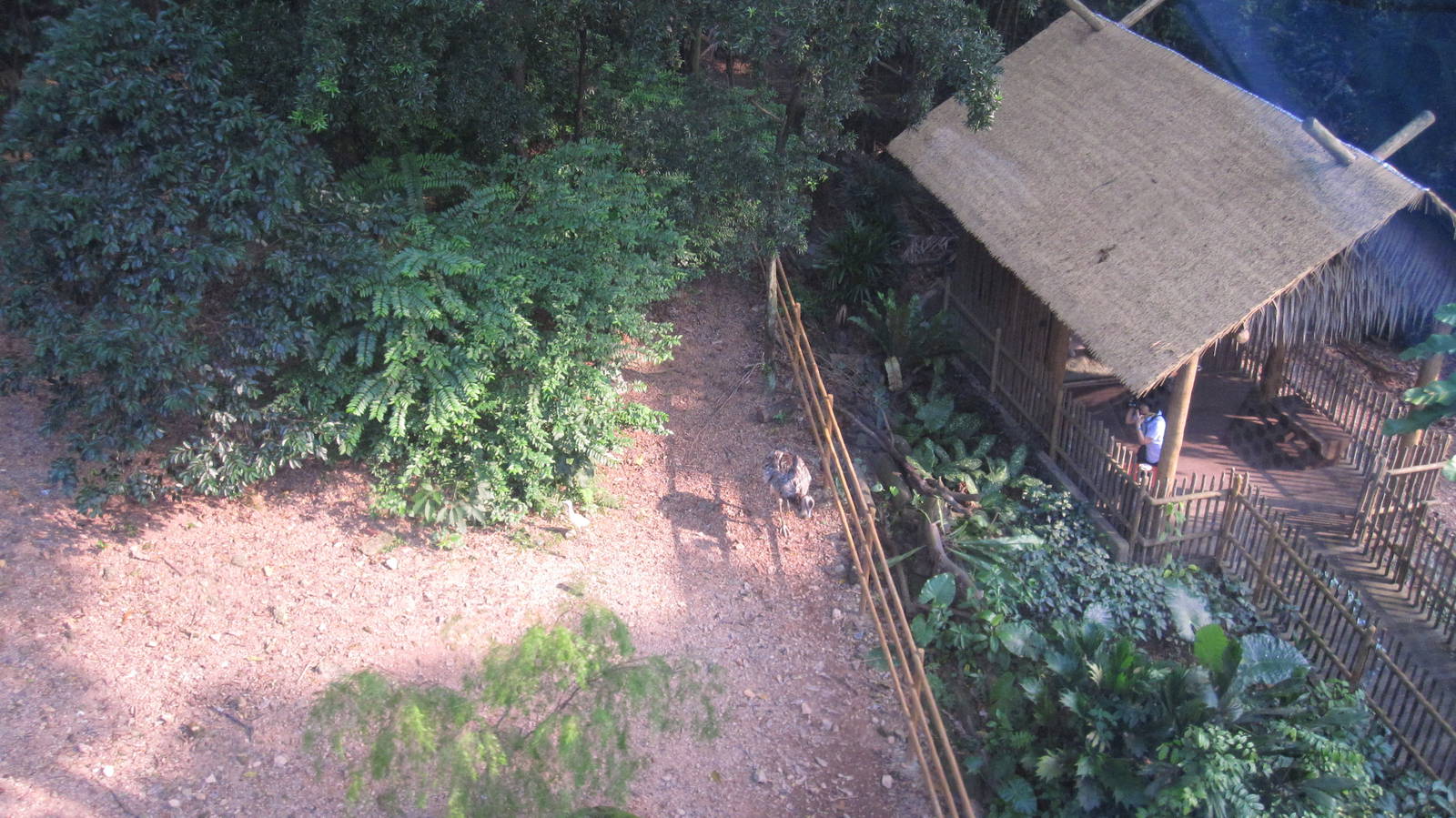 From the Panorail - Dinosaur Descendants