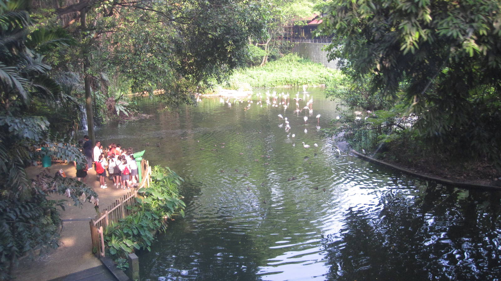 From the Panorail - Flamingo Lake