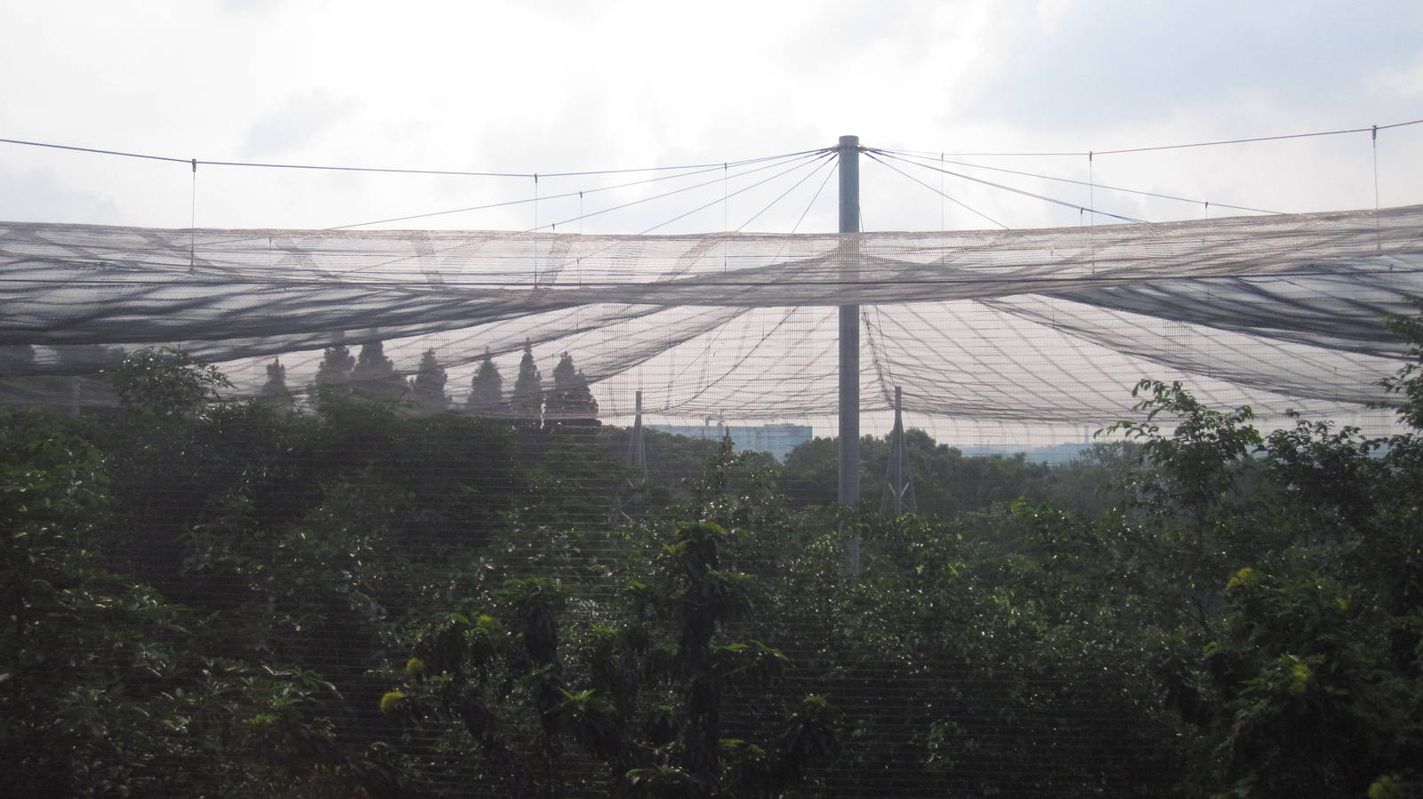 From the Panorail - Lory Loft