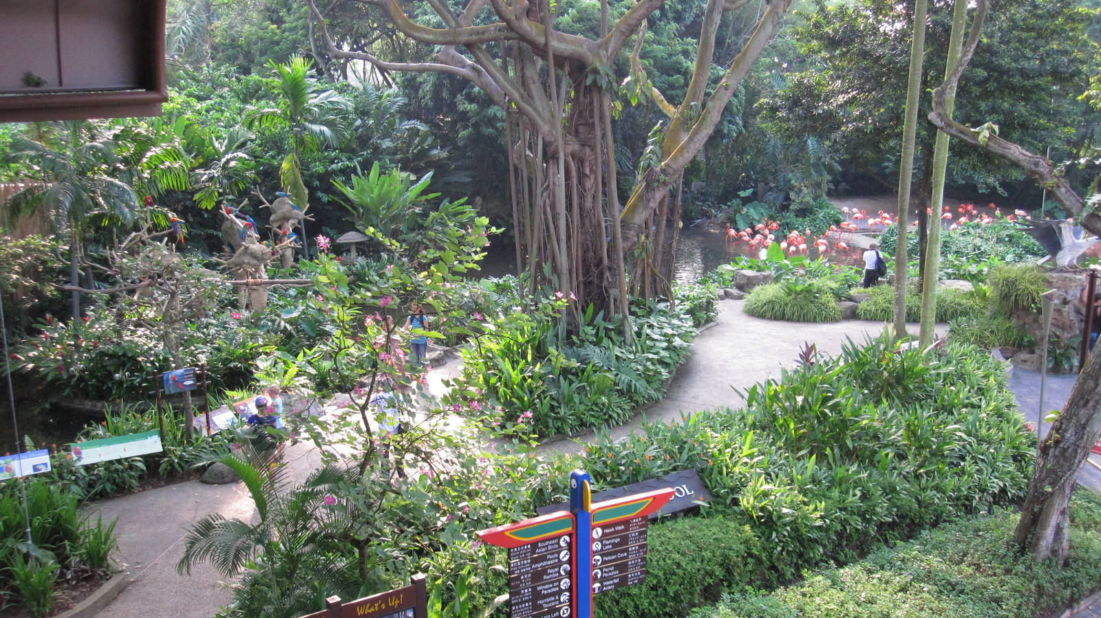 From the Panorail - Macaw Island and Flamingo Pool