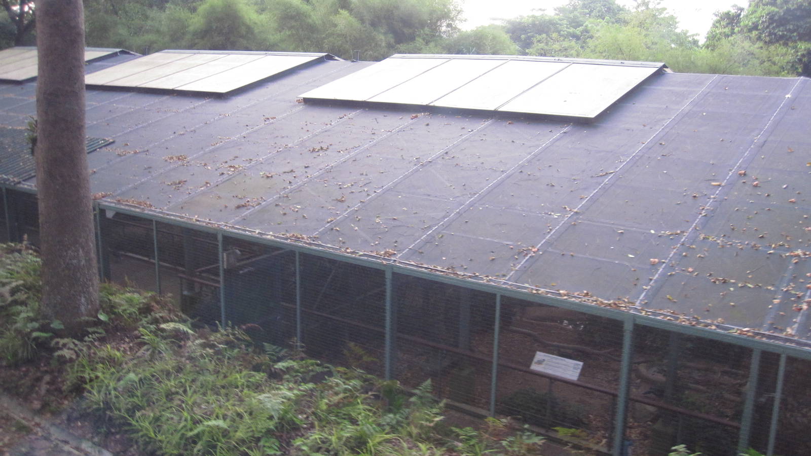 From the Panorail - Royal Ramble