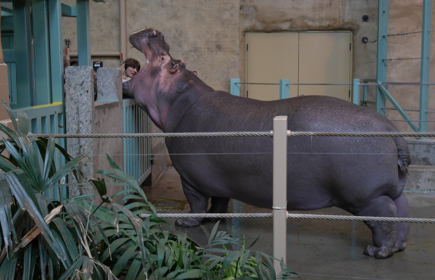 From This Angle... - My First US Zoo Trip
