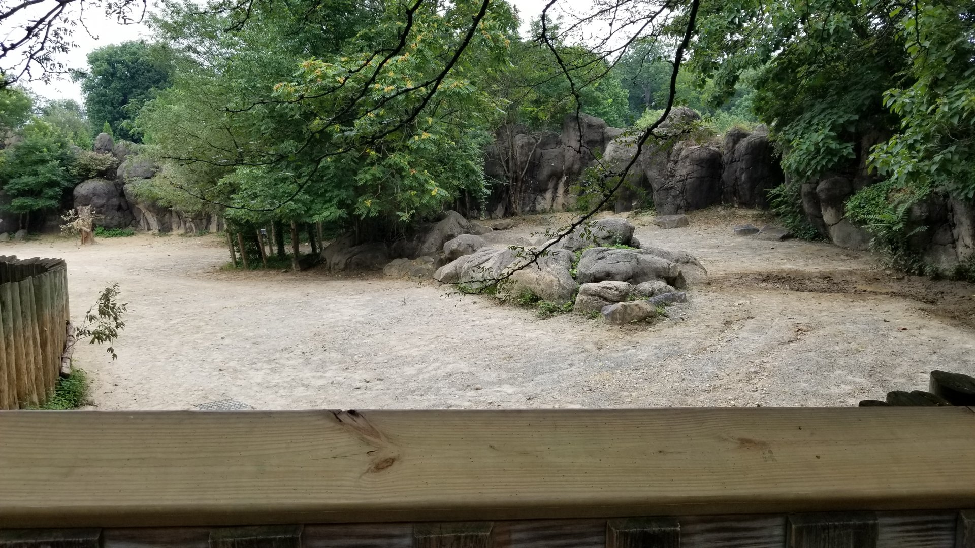 Front end of southern white rhino / plains zebra enclosure
