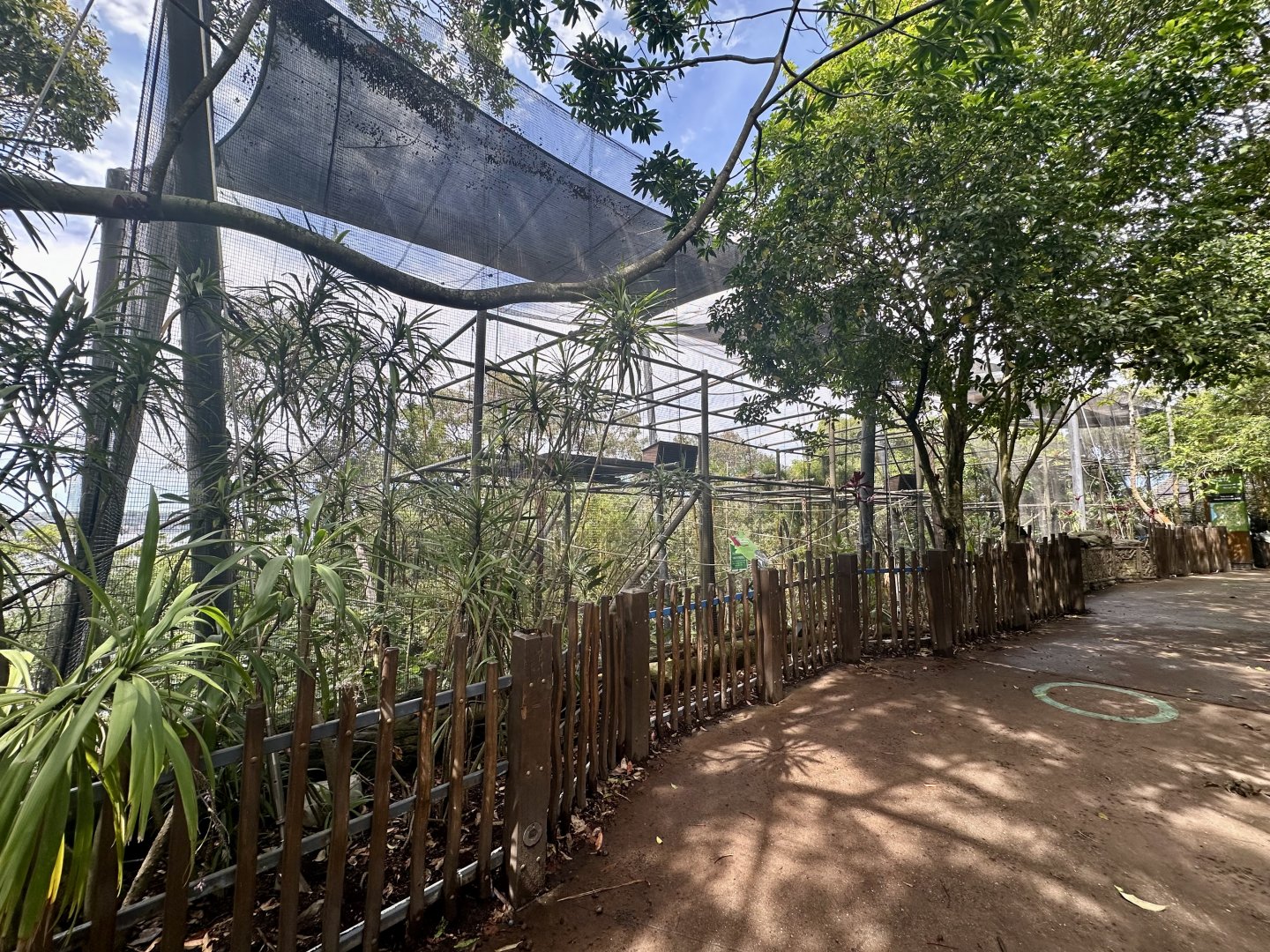 Front of Bolivian Squirrel Monkey Exhibit