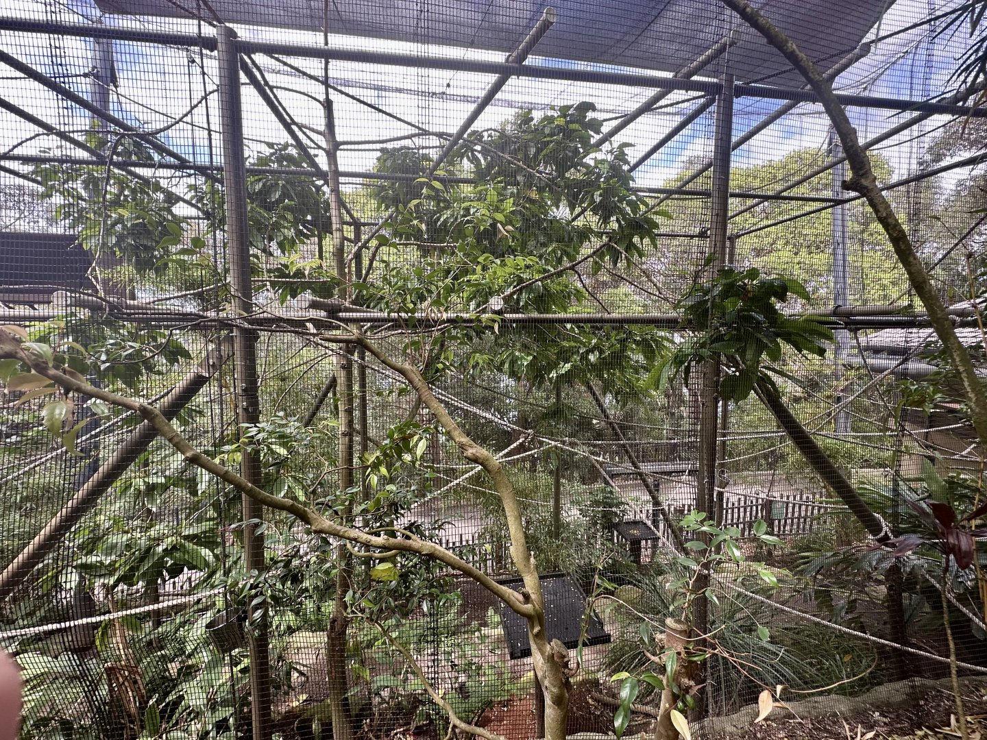 Front of Bolivian Squirrel Monkey Exhibit