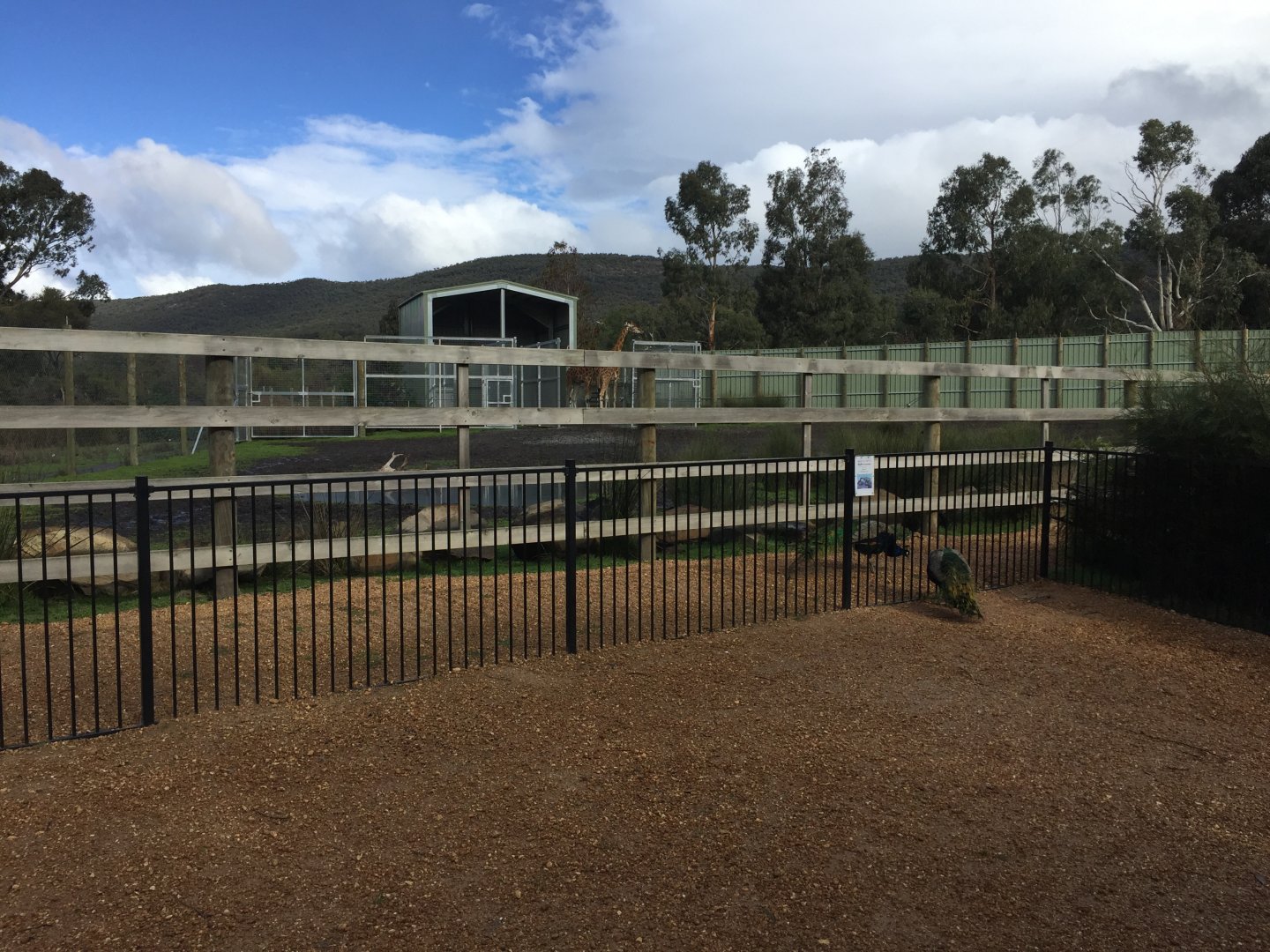 Front of Giraffe Exhibit