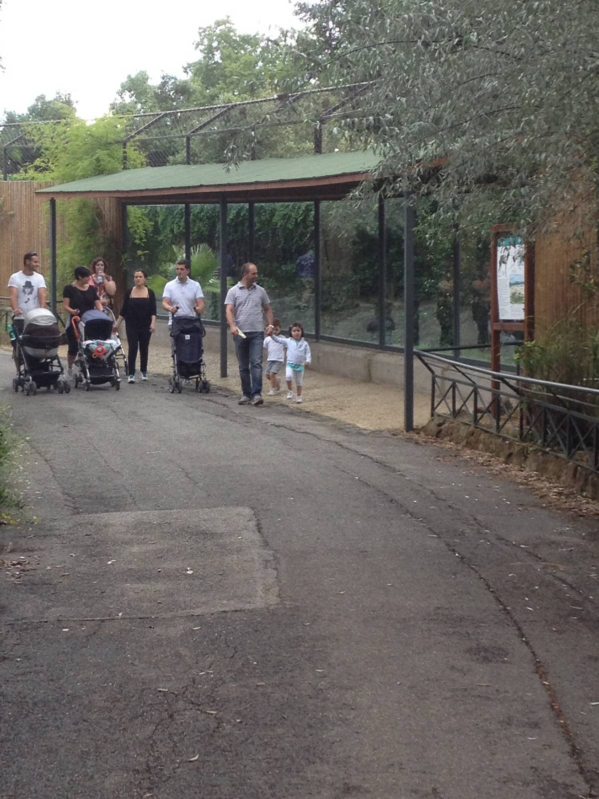 Front of the African Hunting Dog Enclosure
