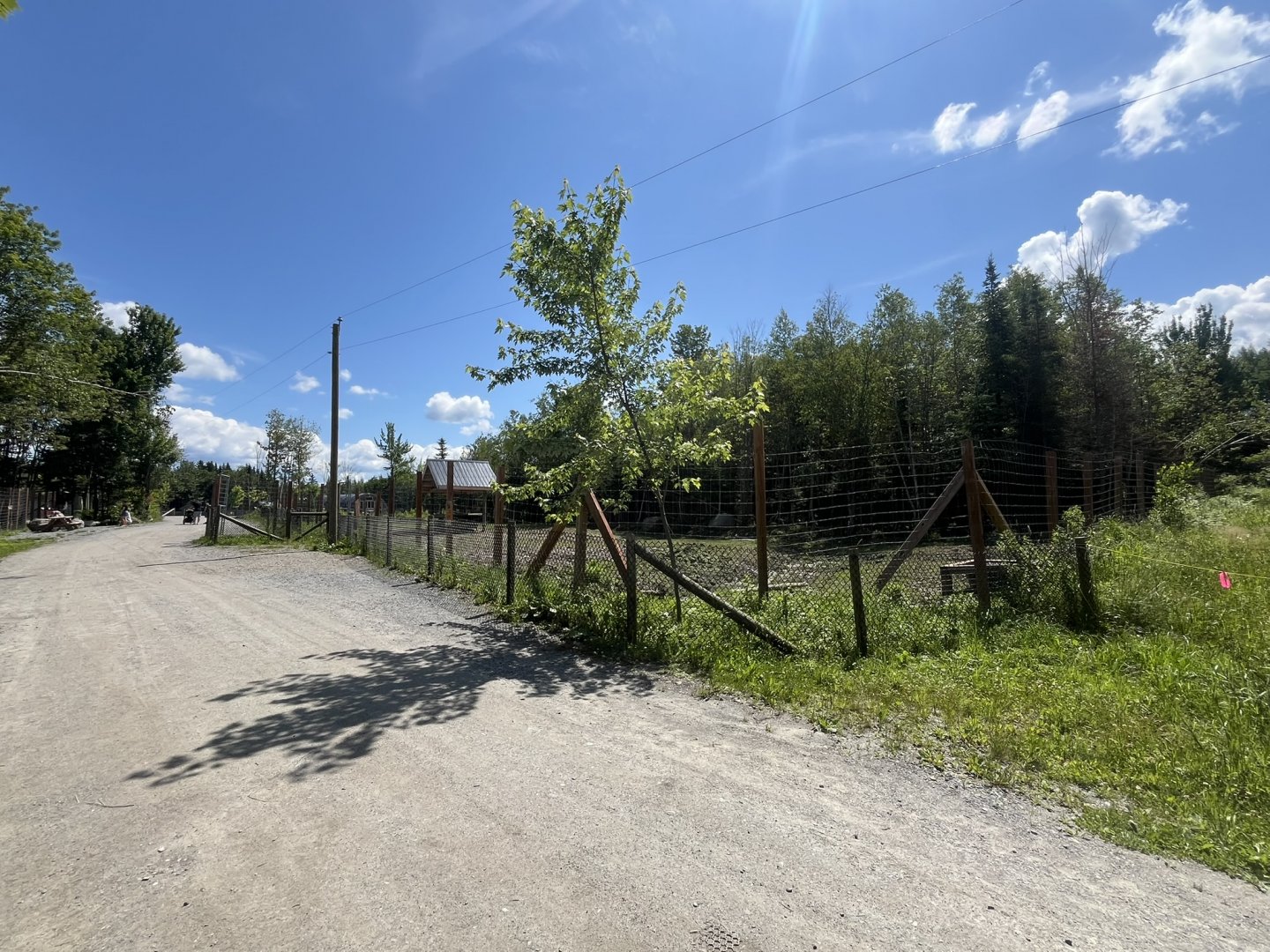 Front part of the elk exhibit