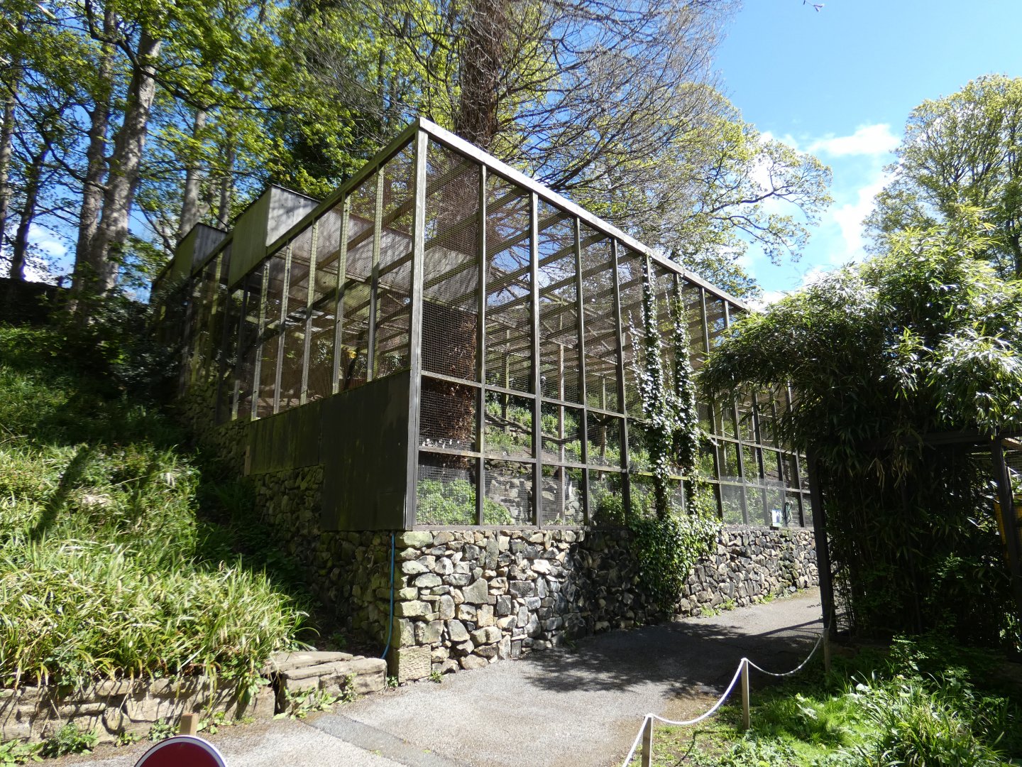 Front view of Andean condor aviary
