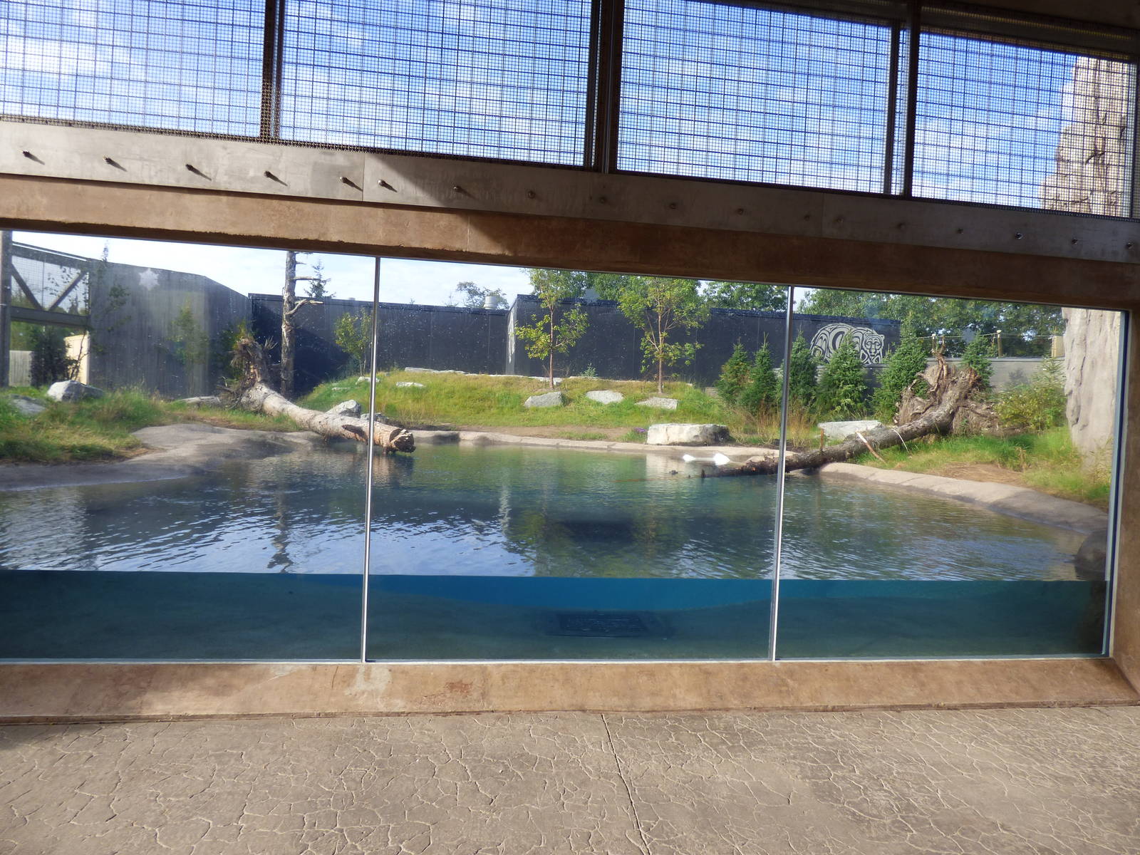 Front View of Polar Bear Exhibit #1