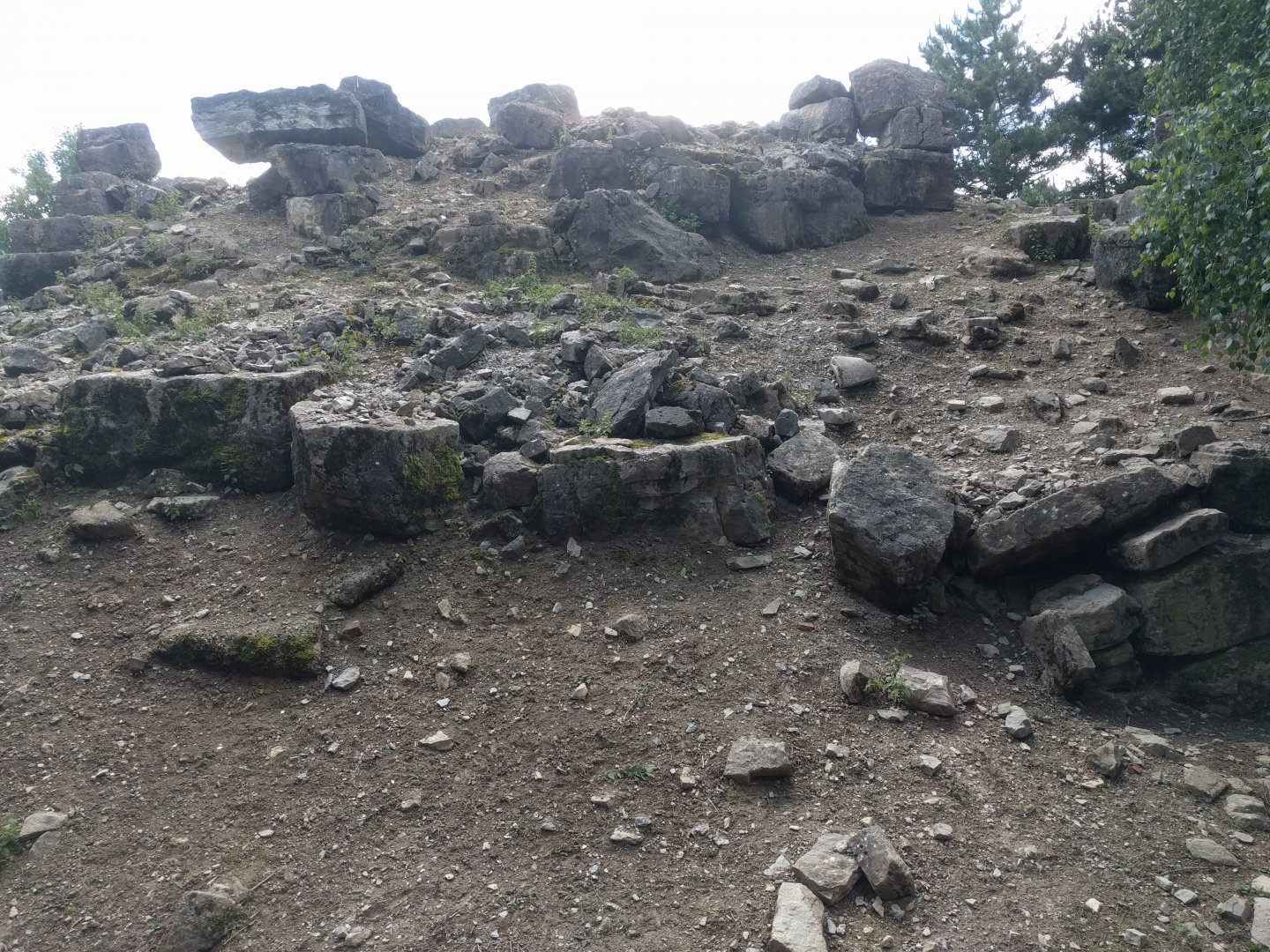 Frontside View of Alpine ibex Enclosure