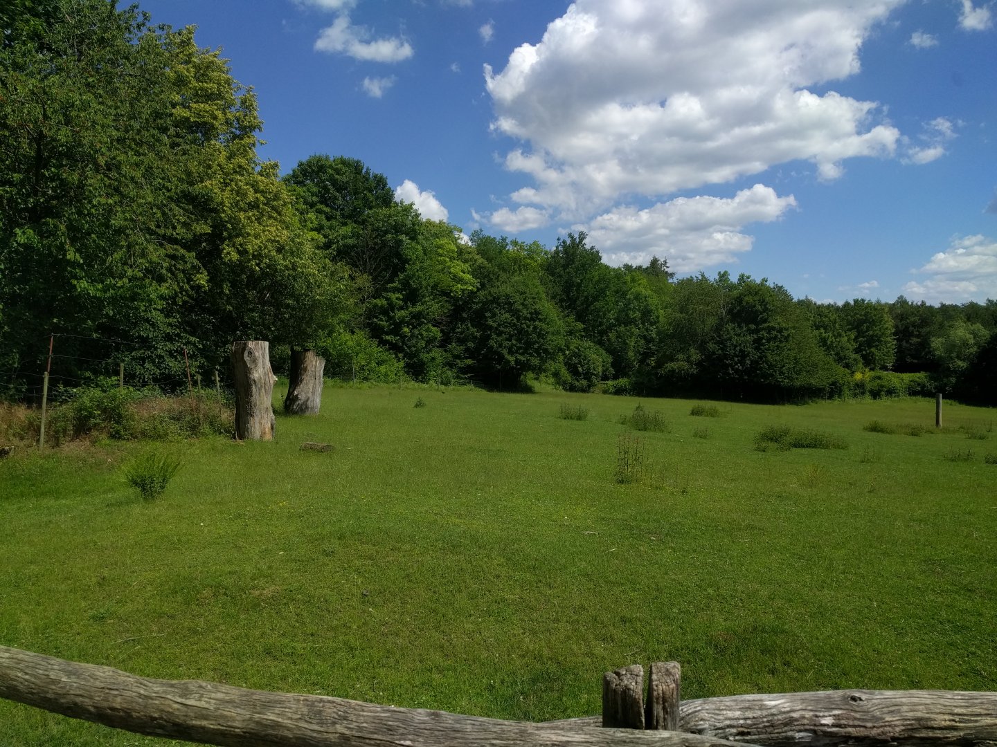 Frontside View of European red Deer Enclosure
