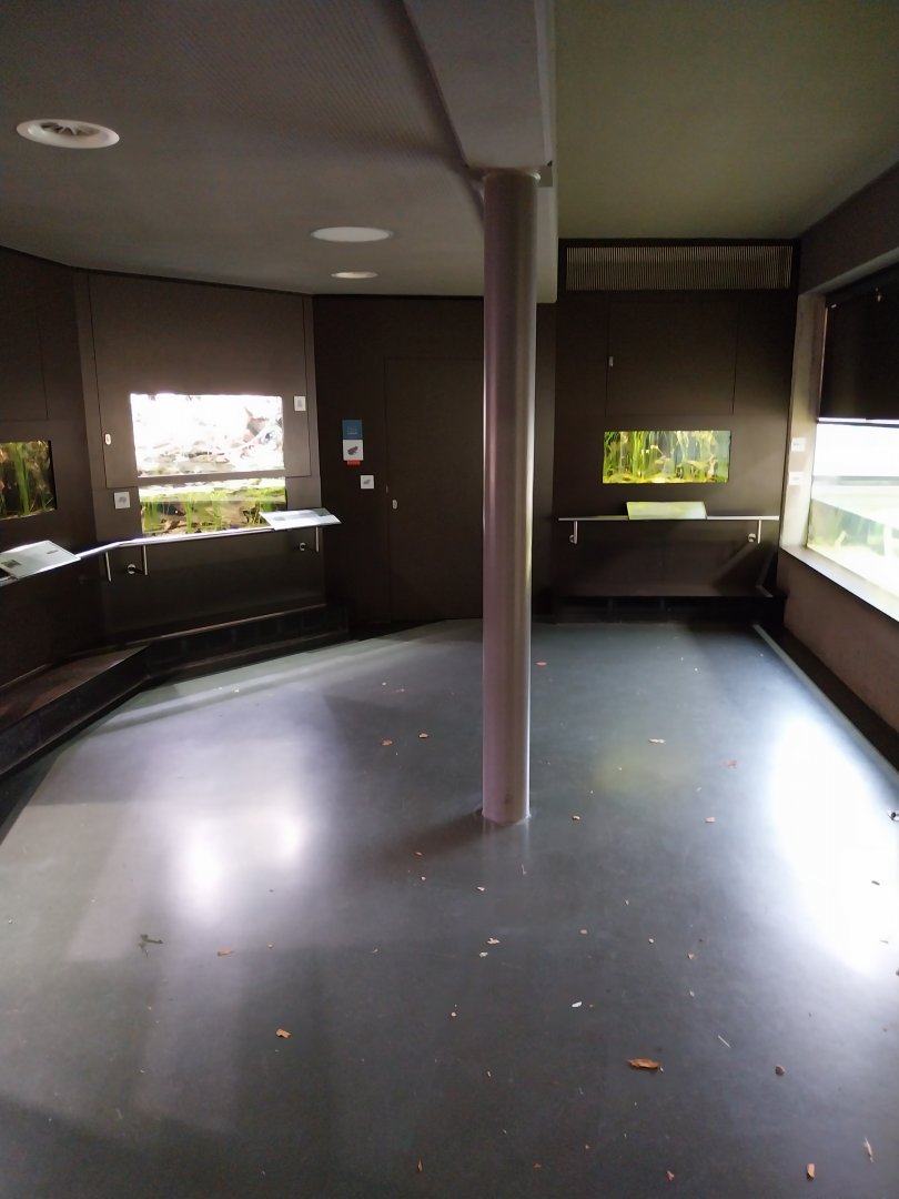 Fröschl-Haus - General view