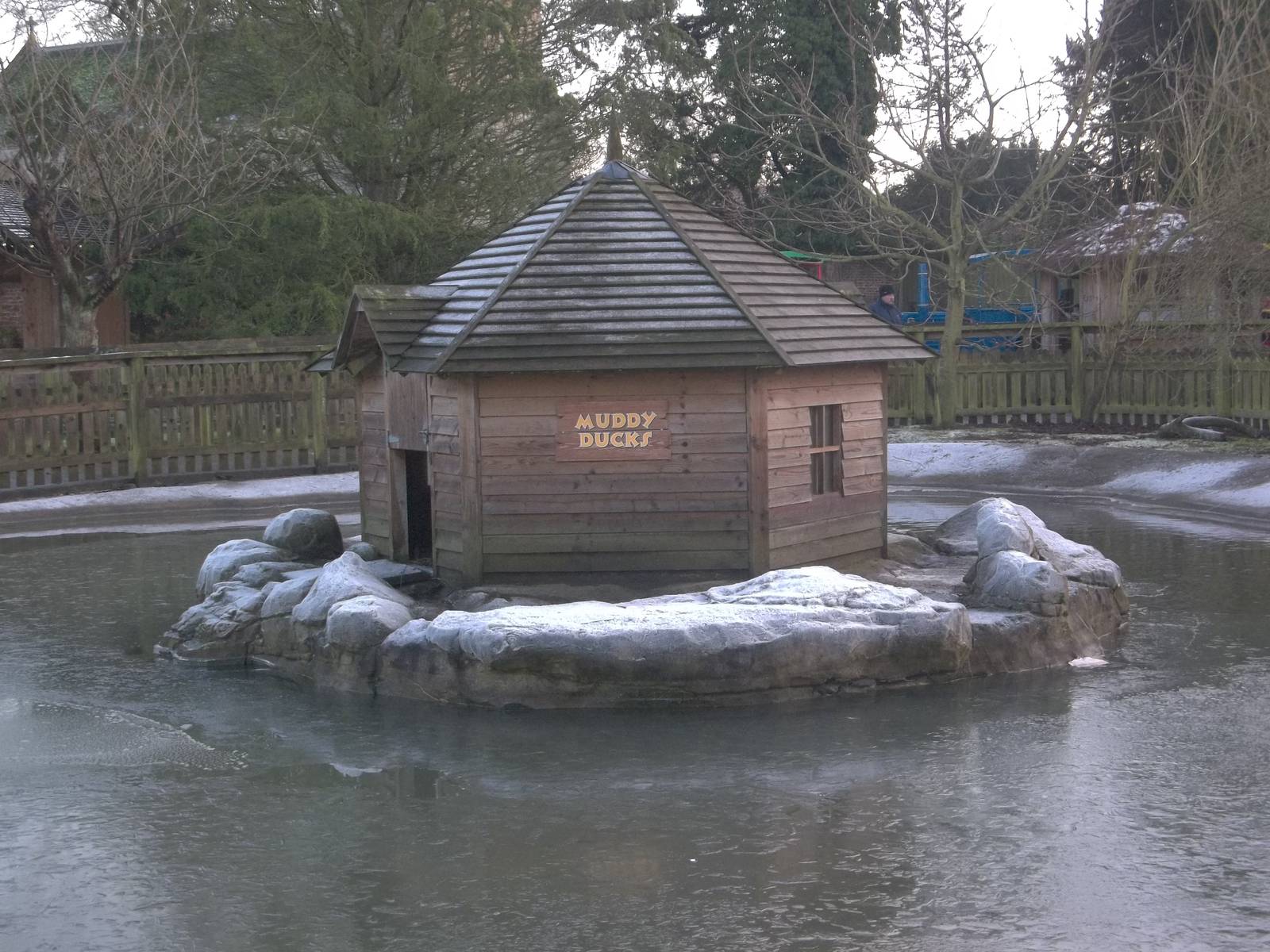 Frosty Duck House and island, 30th December 2014