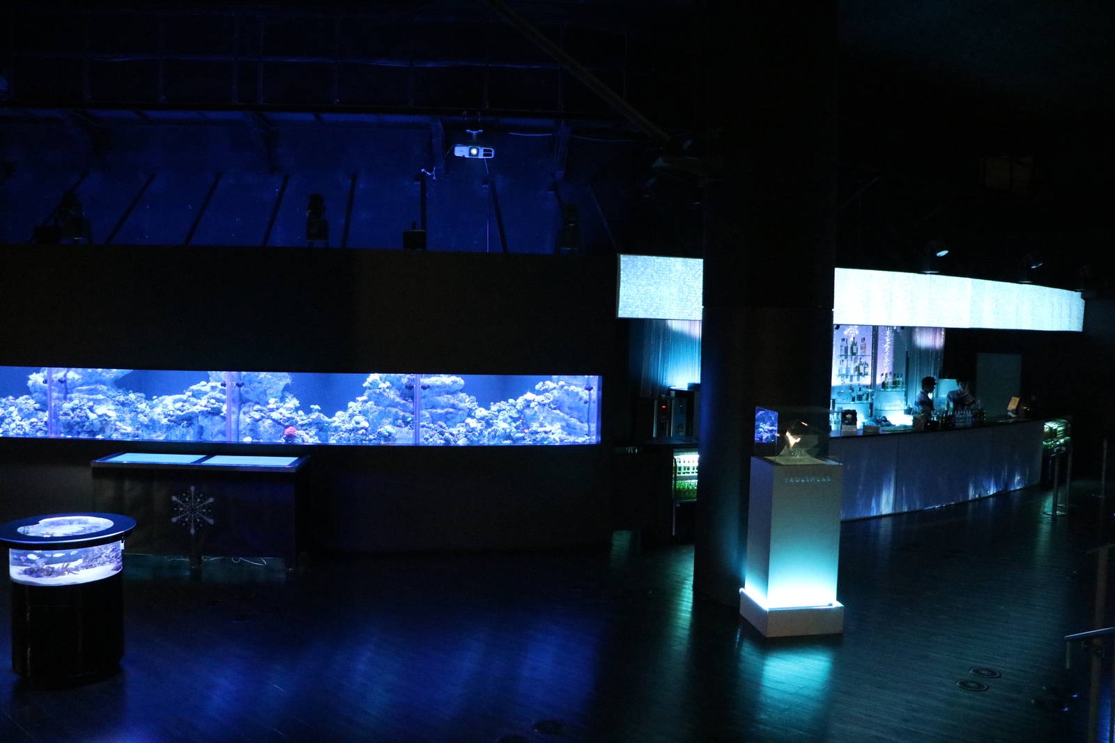 Frozen bar - EPSON Aqua Park, February 2016