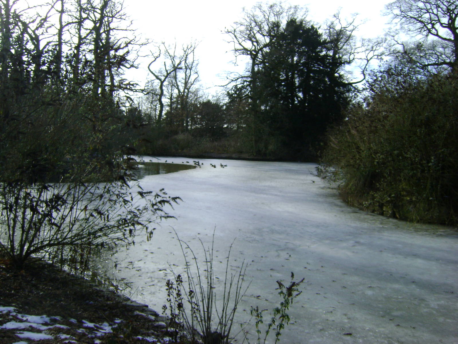 Frozen lake