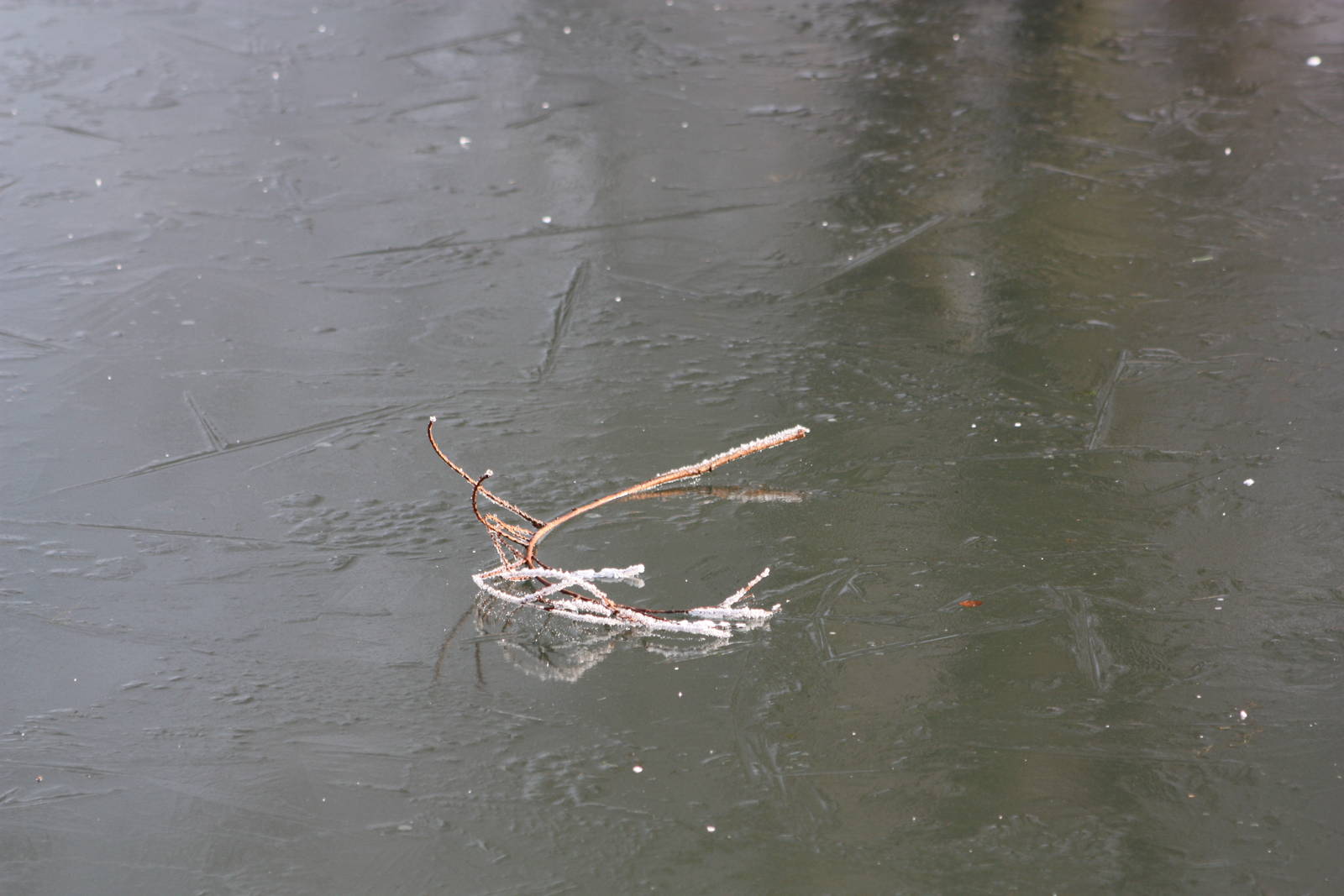 Frozen moat around Baboon Island, 30th December 2014