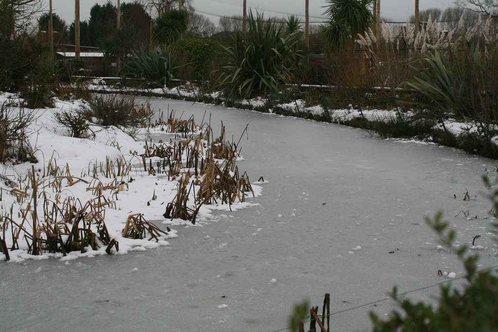 Frozen Monkey Island Moat