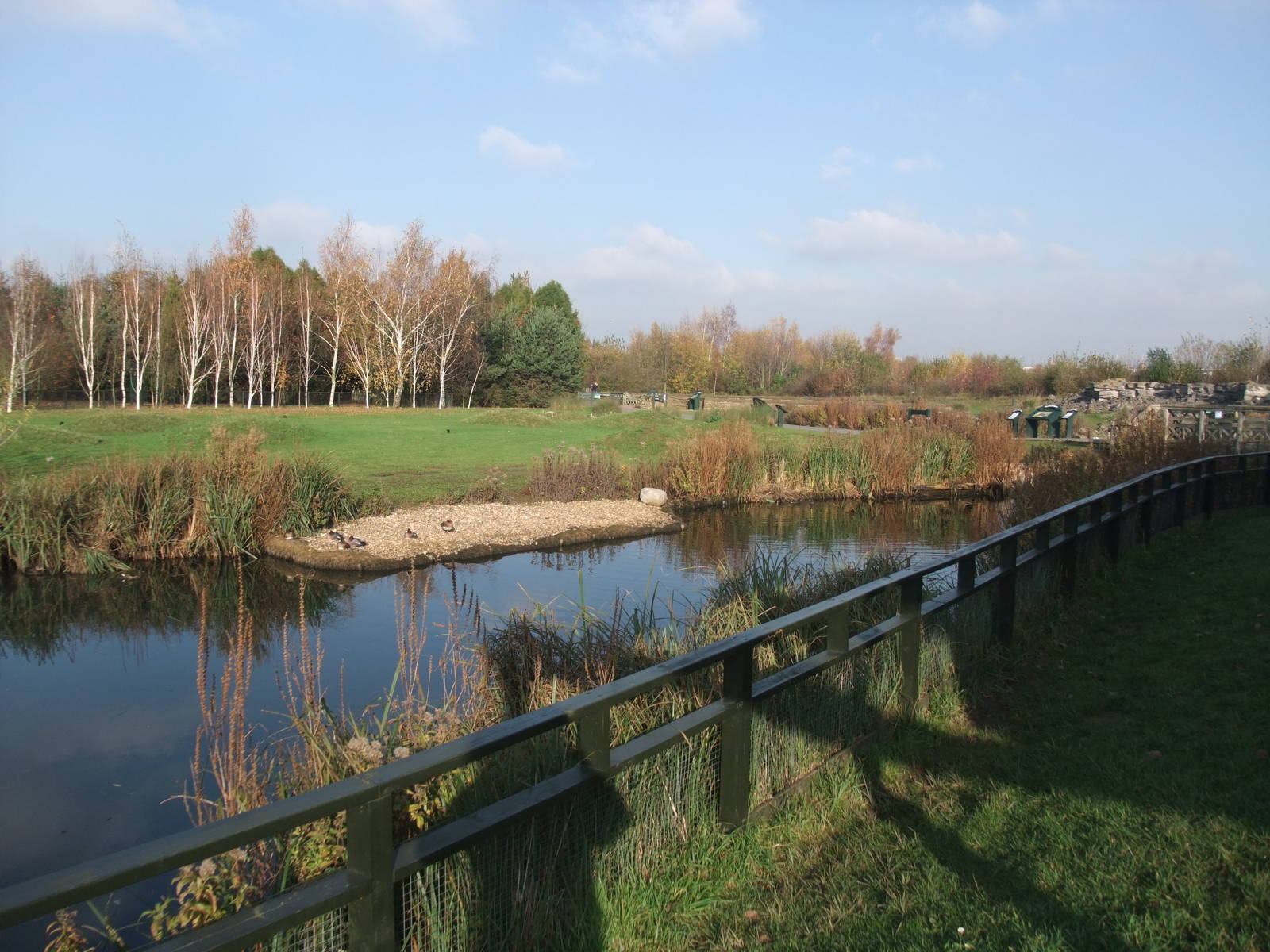 Frozen North Waterfowl Pen at London WWT (Barnes), 15/11/11