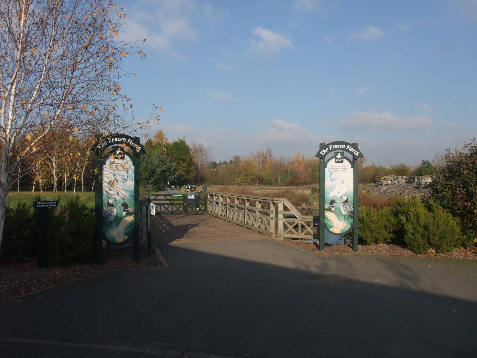 Frozen North Waterfowl Pen at London WWT (Barnes), 15/11/11