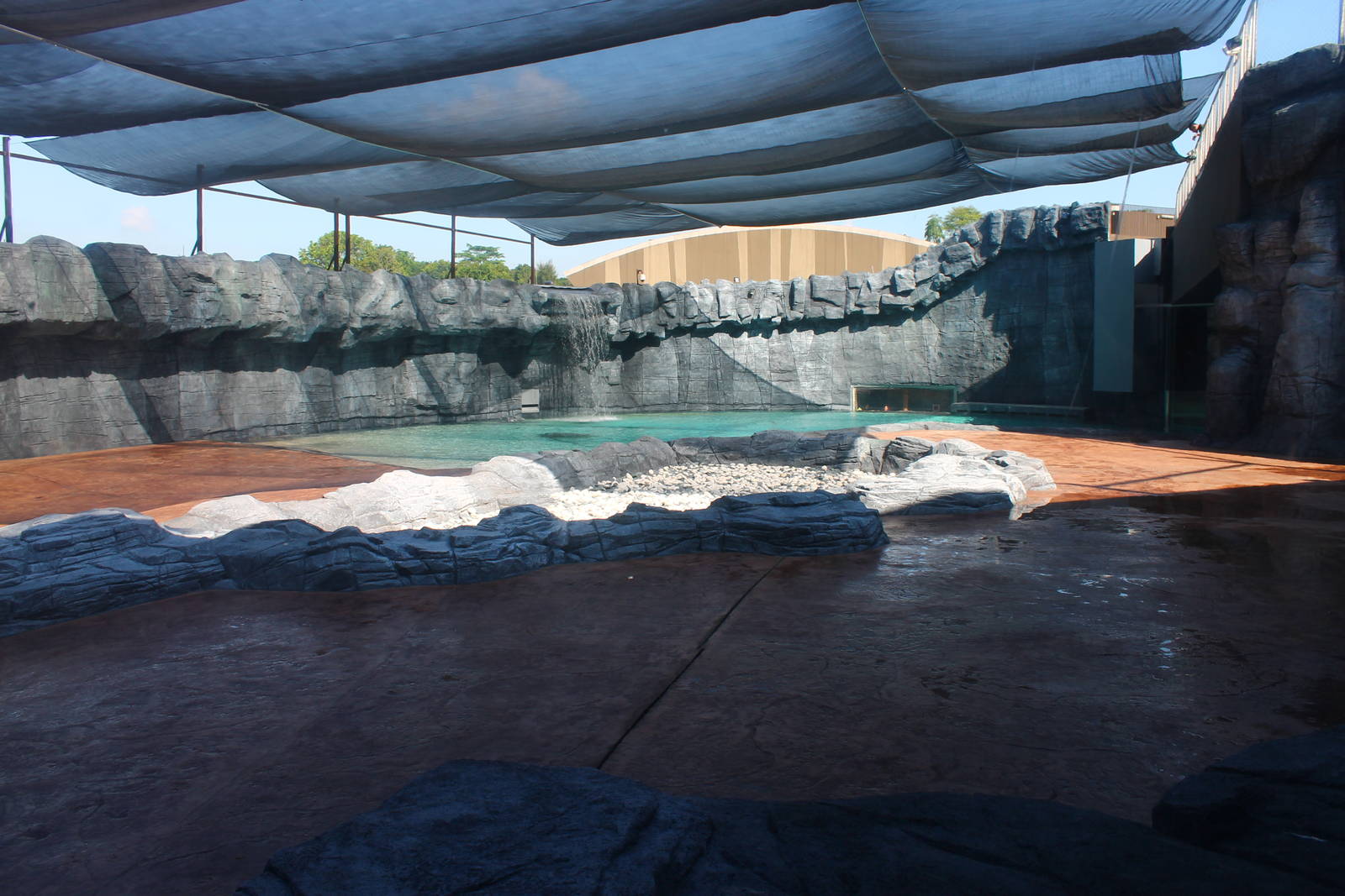 Frozen Tundra - Polar Bear exhibit