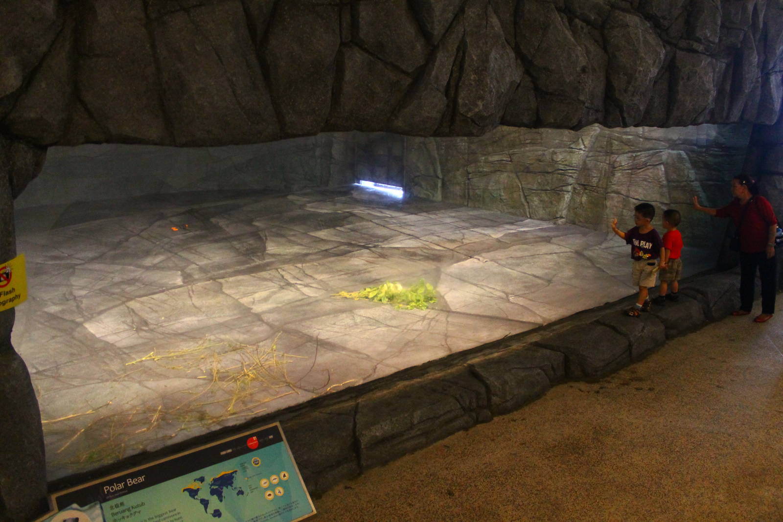 Frozen Tundra - Polar Bear Indoor "Cave"