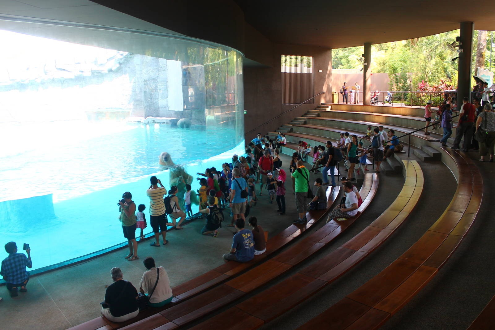 Frozen Tundra - Polar Bear Underwater Viewing Gallery
