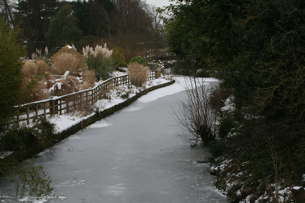Frozen Waterway