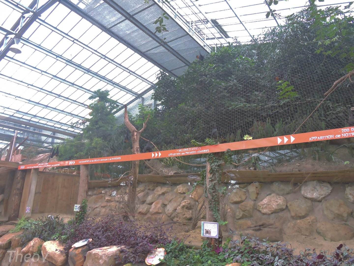 Fruit bat and bettong aviary [2015]